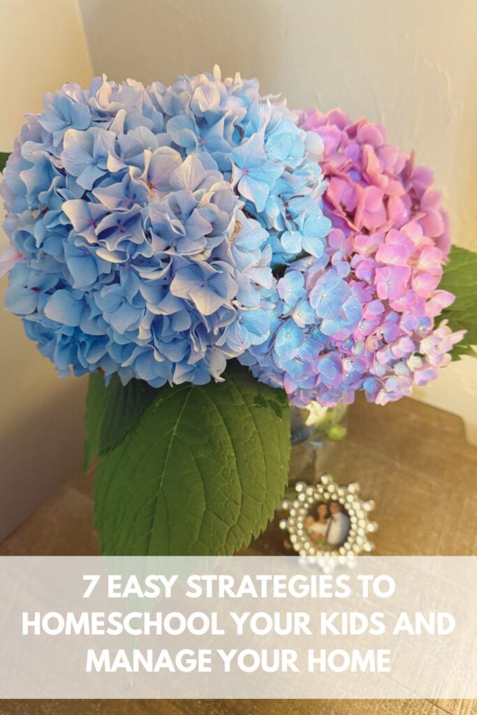 homeschool your kids homeschool your kids